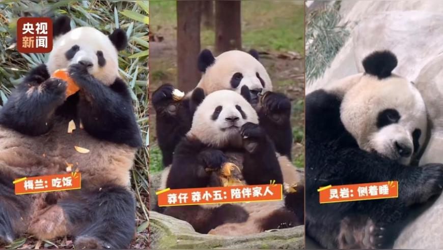 管家婆一码一肖资料大全9494资料,人社部：依法查处就业歧视,完美答案解释落实_开发版V11.21